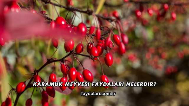 Karamuk Meyvesi Faydaları Nelerdir?