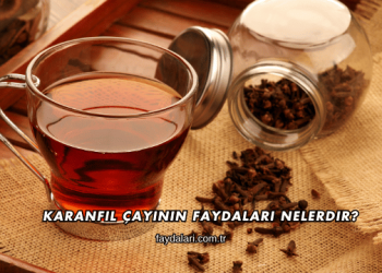 Karanfil Çayının Faydaları Nelerdir?