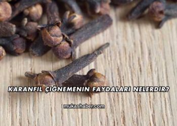 Karanfil Çiğnemenin Faydaları Nelerdir?