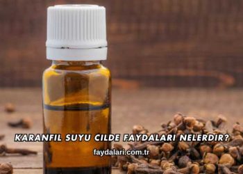 Karanfil Suyu Cilde Faydaları Nelerdir?