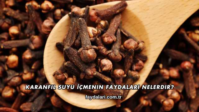 Karanfil Suyu İçmenin Faydaları Nelerdir?