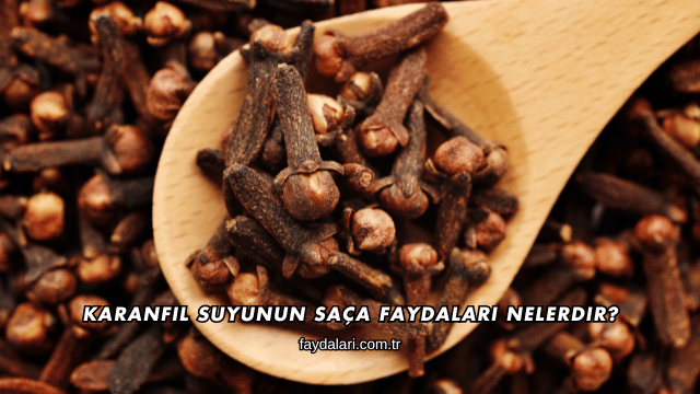 Karanfil Suyunun Saça Faydaları Nelerdir?