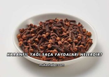 Karanfil Yağı Saça Faydaları Nelerdir?