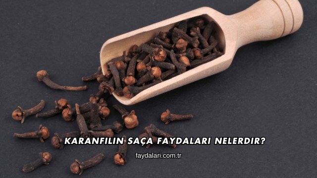 Karanfilin Saça Faydaları Nelerdir?