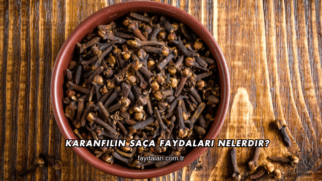 Karanfilin Saça Faydaları Nelerdir?