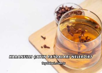 Karanfilli Çayın Faydaları Nelerdir?