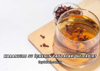 Karanfilli Su İçmenin Faydaları Nelerdir?