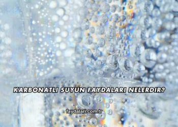 Karbonatlı Suyun Faydaları Nelerdir?