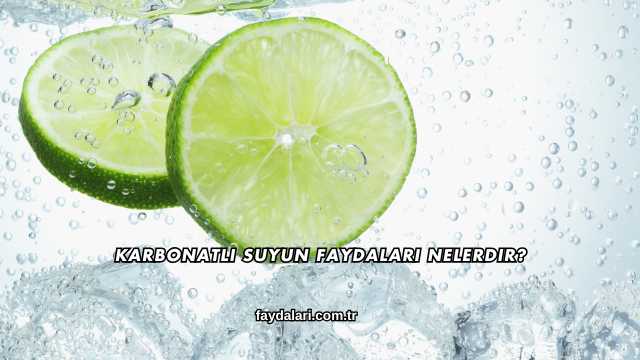 Karbonatlı Suyun Faydaları Nelerdir?
