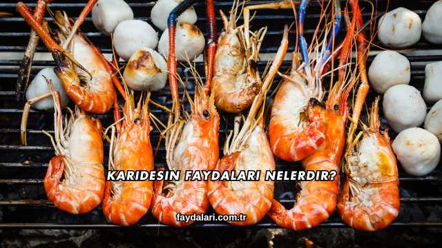 Karidesin Faydaları Nelerdir?