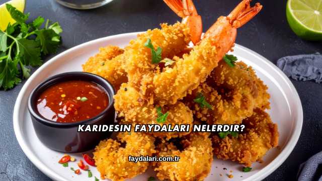 Karidesin Faydaları Nelerdir?
