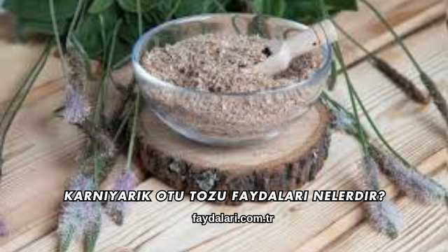 Karnıyarık Otu Tozu Faydaları Nelerdir?