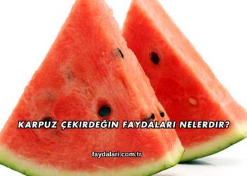 Karpuz Çekirdeğin Faydaları Nelerdir?