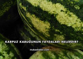 Karpuz Kabuğunun Faydaları Nelerdir?