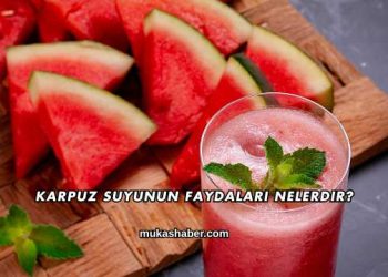 Karpuz Suyunun Faydaları Nelerdir?