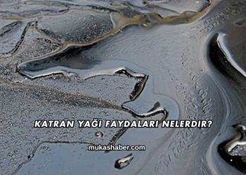 Katran Yağı Faydaları Nelerdir?