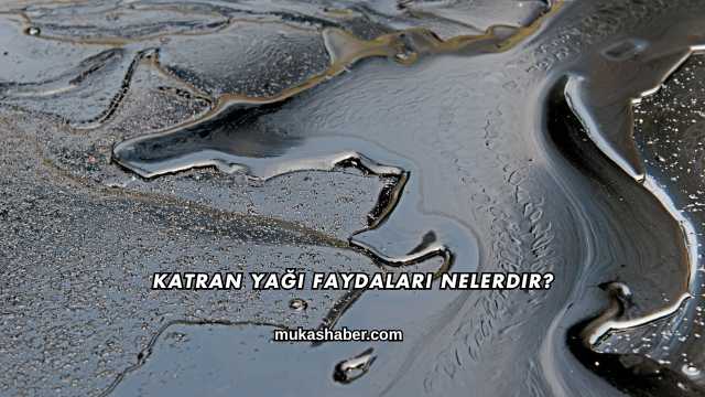 Katran Yağı Faydaları Nelerdir?