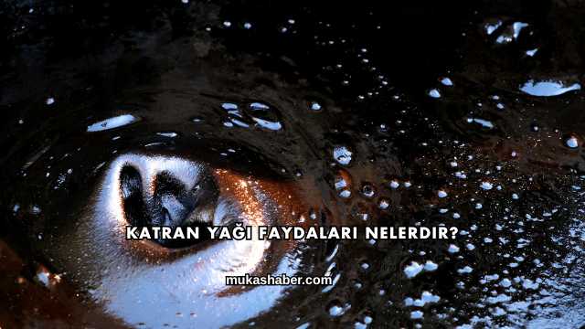 Katran Yağı Faydaları Nelerdir?