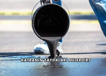 Katranın Faydaları Nelerdir?