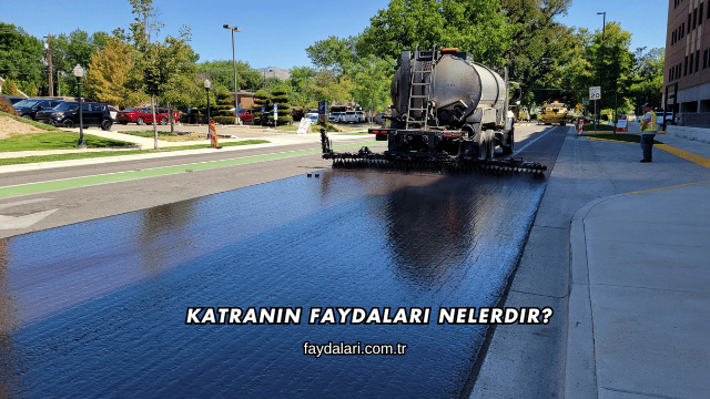 Katranın Faydaları Nelerdir?