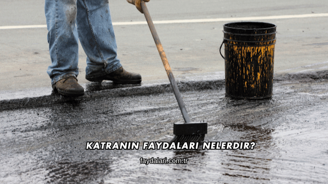 Katranın Faydaları Nelerdir?