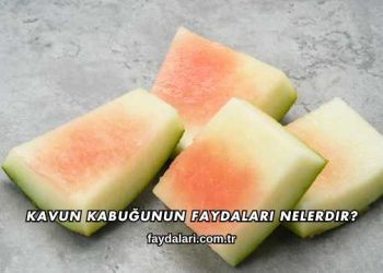 Kavun Kabuğunun Faydaları Nelerdir?