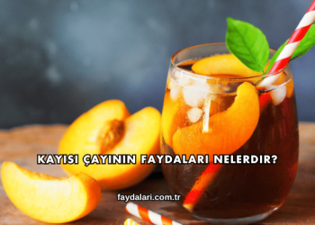 Kayısı Çayının Faydaları Nelerdir?