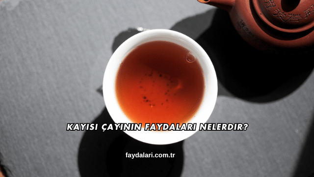 Kayısı Çayının Faydaları Nelerdir?