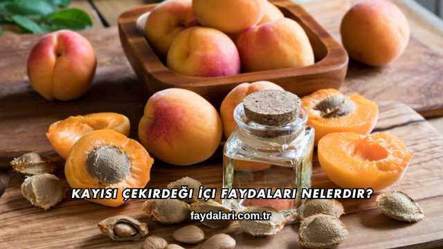 Kayısı Çekirdeği İçi Faydaları Nelerdir?