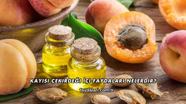 Kayısı Çekirdeği İçi Faydaları Nelerdir?