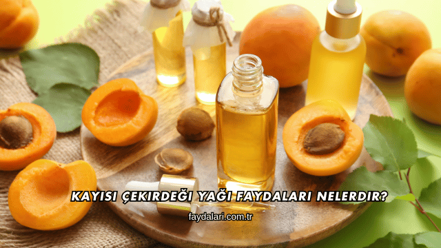 Kayısı Çekirdeği Yağı Faydaları Nelerdir?