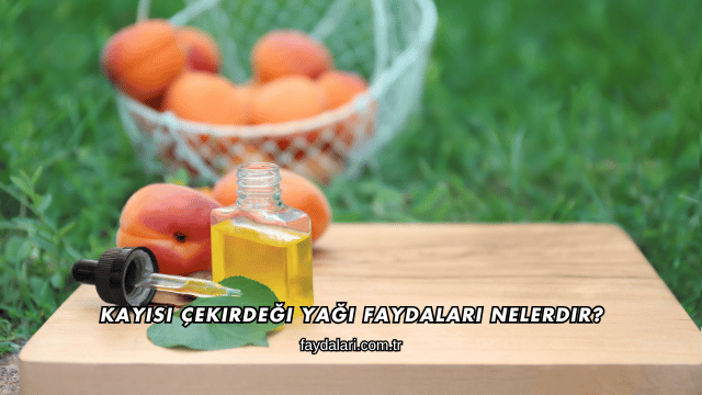 Kayısı Çekirdeği Yağı Faydaları Nelerdir?