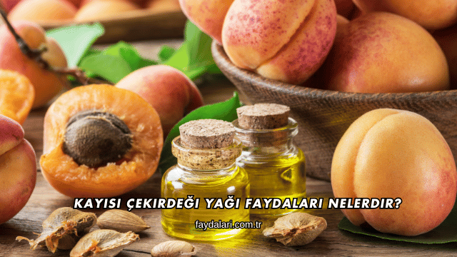 Kayısı Çekirdeği Yağı Faydaları Nelerdir?
