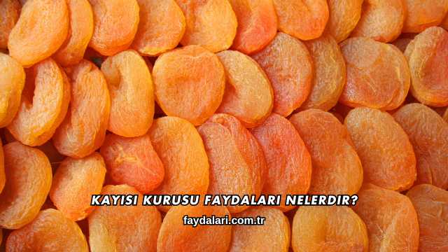 Kayısı Kurusu Faydaları Nelerdir?