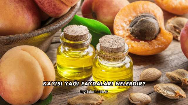 Kayısı Yağı Faydaları Nelerdir?