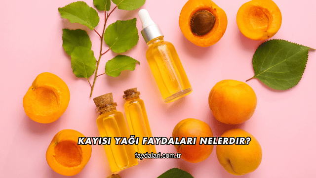 Kayısı Yağı Faydaları Nelerdir?