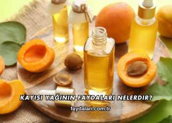 Kayısı Yağının Faydaları Nelerdir?