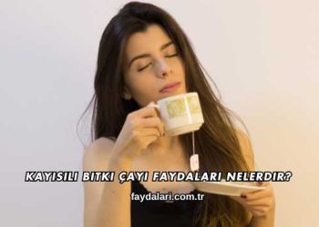 Kayısılı Bitki Çayı Faydaları Nelerdir?