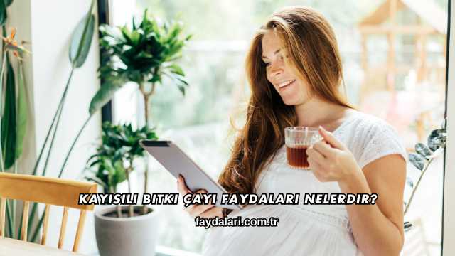 Kayısılı Bitki Çayı Faydaları Nelerdir?