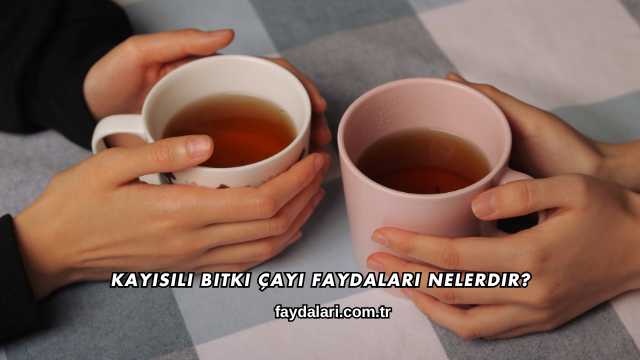 Kayısılı Bitki Çayı Faydaları Nelerdir?
