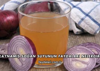 Kaynamış Soğan Suyunun Faydaları Nelerdir?