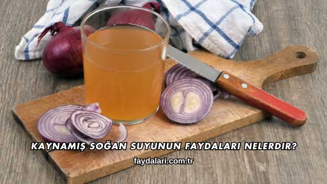 Kaynamış Soğan Suyunun Faydaları Nelerdir?