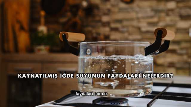 Kaynatılmış İğde Suyunun Faydaları Nelerdir?