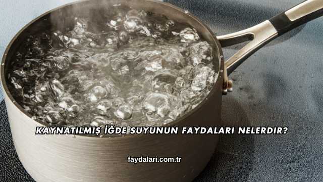 Kaynatılmış İğde Suyunun Faydaları Nelerdir?