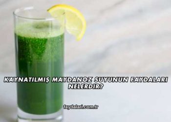 Kaynatılmış Maydanoz Suyunun Faydaları Nelerdir?
