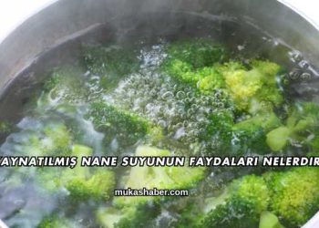 Kaynatılmış Nane Suyunun Faydaları Nelerdir?