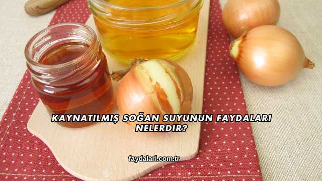 Kaynatılmış Soğan Suyunun Faydaları Nelerdir?