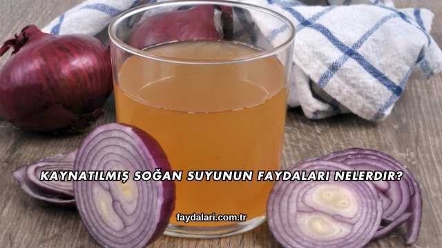 Kaynatılmış Soğan Suyunun Faydaları Nelerdir?