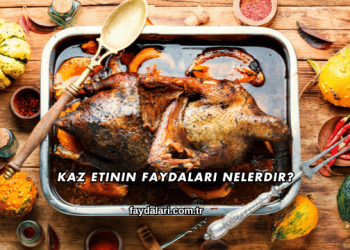 Kaz Etinin Faydaları Nelerdir?