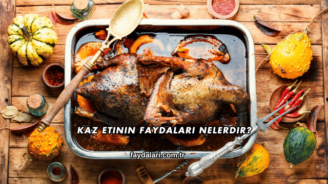 Kaz Etinin Faydaları Nelerdir?